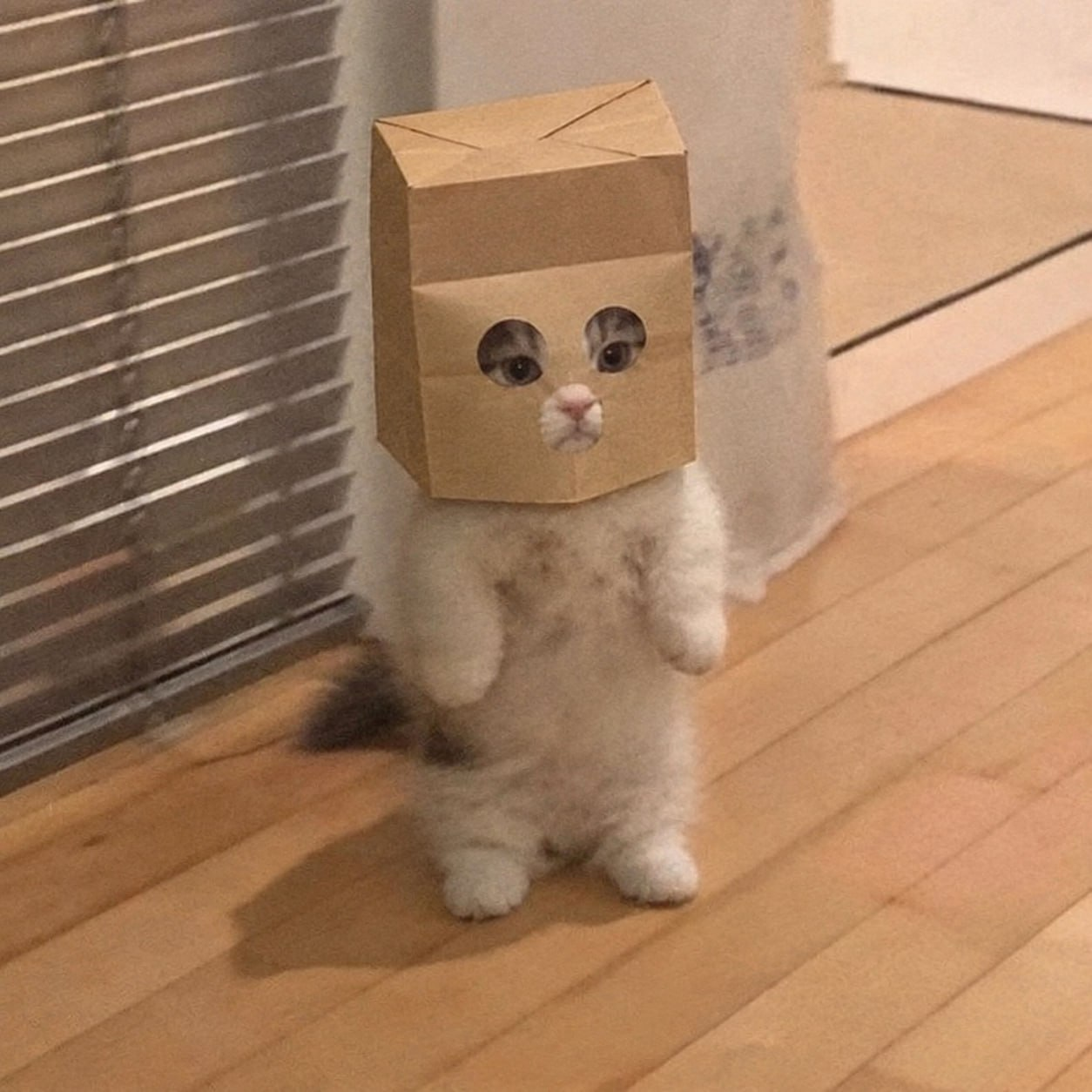 Anonymous Michi mascot